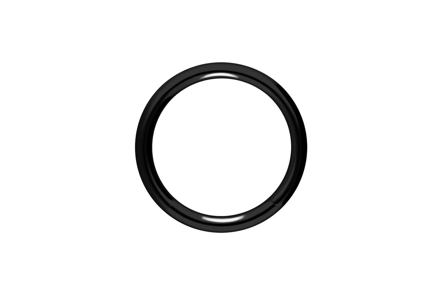 Chirurgenstahl Segmentring von Piercingline